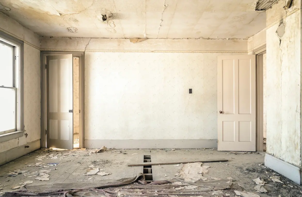 Waste disposal crew managing a cleanout project in Citrus Springs